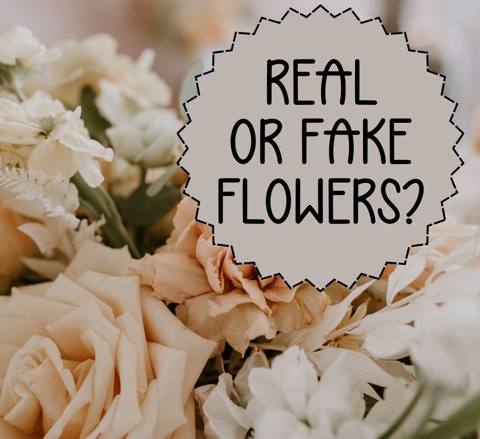 4f693f0e7af45a18f1c38f03415205cf